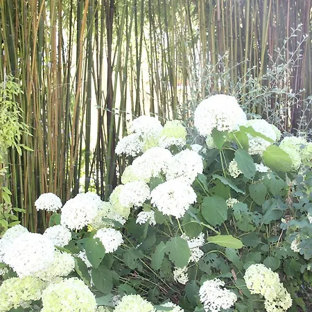 La Blanche Bed & Breakfast 3*